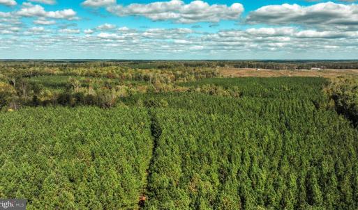 Photo #44 of CROSS COUNTRY RD., MINERAL, VA 101.0 acres