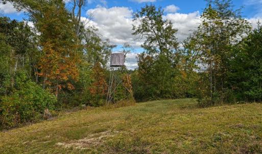 Photo #48 of CROSS COUNTRY RD., MINERAL, VA 101.0 acres