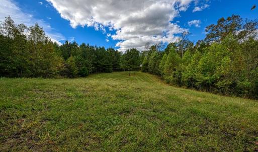 Photo #49 of CROSS COUNTRY RD., MINERAL, VA 101.0 acres