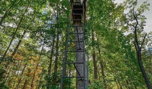 Photo #56 of CROSS COUNTRY RD., MINERAL, VA 101.0 acres