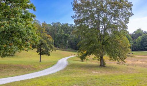 Photo #64 of 385 MCDANIEL LN, SHENANDOAH, VA 23.4 acres