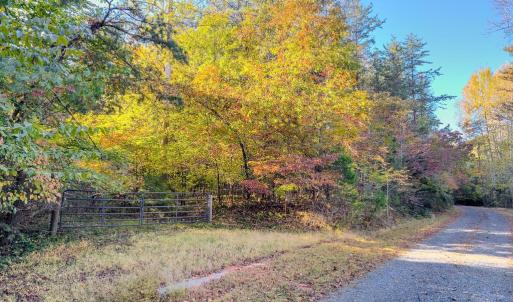 Photo #3 of BEECH TREE ROAD, ORANGE, VA 12.9 acres