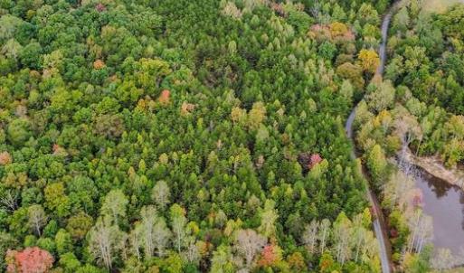 Photo #15 of BEECH TREE ROAD, ORANGE, VA 12.9 acres