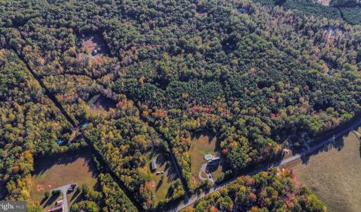 Photo #20 of BEECH TREE ROAD, ORANGE, VA 12.9 acres