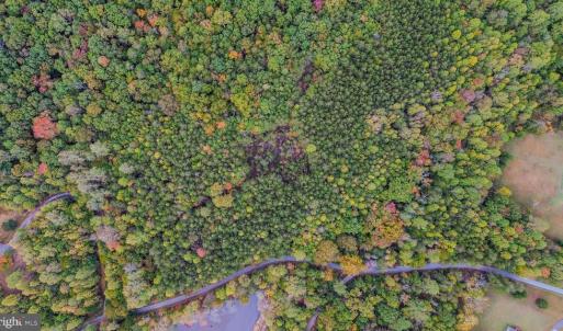 Photo #8 of BEECH TREE ROAD, ORANGE, VA 12.9 acres