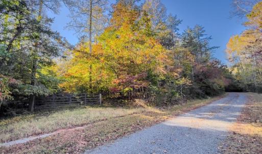 Photo #1 of BEECH TREE ROAD, ORANGE, VA 12.9 acres