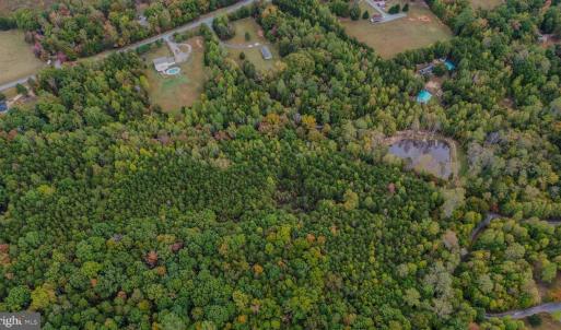 Photo #9 of BEECH TREE ROAD, ORANGE, VA 12.9 acres