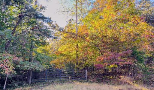 Photo #3 of BEECH TREE ROAD, ORANGE, VA 12.9 acres