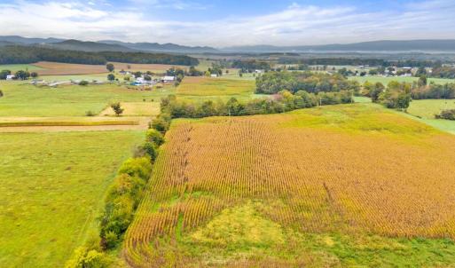 Photo #14 of FAIRVIEW RD, LURAY, VA 26.9 acres