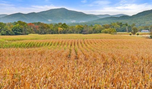 Photo #20 of FAIRVIEW RD, LURAY, VA 26.9 acres