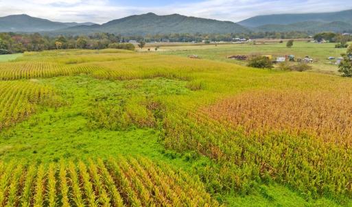 Photo #11 of FAIRVIEW RD, LURAY, VA 26.9 acres