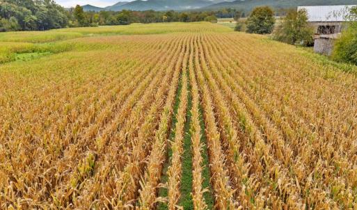 Photo #19 of FAIRVIEW RD, LURAY, VA 26.9 acres