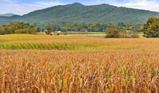 Photo #21 of FAIRVIEW RD, LURAY, VA 26.9 acres