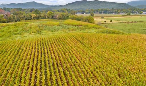 Photo #12 of FAIRVIEW RD, LURAY, VA 26.9 acres