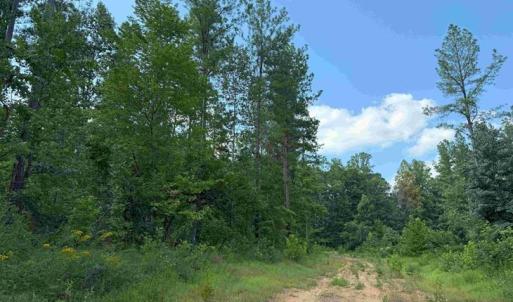 Photo #7 of HOLLAND ROAD (TRACT: JR BEDFORD-BOWLES_SIMS-2), COLUMBIA, VA 64.4 acres