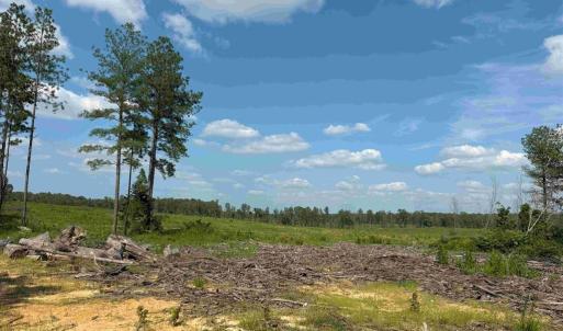 Photo #10 of HOLLAND ROAD (TRACT: JR BEDFORD-BOWLES_SIMS-2), COLUMBIA, VA 64.4 acres