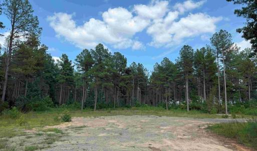 Photo #2 of HOLLAND ROAD (TRACT: JR BEDFORD-BOWLES_SIMS-4), COLUMBIA, VA 94.1 acres