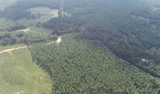 Photo #5 of HOLLAND ROAD (TRACT: JR BEDFORD-BOWLES_SIMS-4), COLUMBIA, VA 94.1 acres