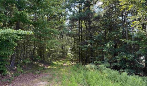 Photo #3 of DOGWOOD DRIVE (TRACT: JR BEDFORD-BOWLES_SIMS-3), COLUMBIA, VA 60.9 acres