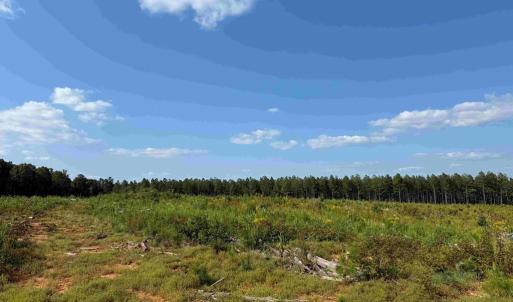 Photo #4 of DOGWOOD DRIVE (TRACT: JR BEDFORD-BOWLES_SIMS-3), COLUMBIA, VA 60.9 acres