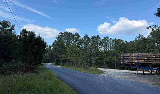 Photo #11 of DOGWOOD DRIVE (TRACT: JR BEDFORD-BOWLES_SIMS-3), COLUMBIA, VA 60.9 acres