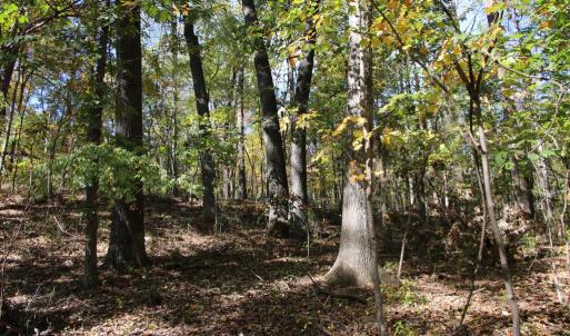 Photo #1 of RIVER VIEW PL, SHENANDOAH, VA 3.0 acres