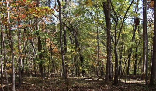 Photo #2 of RIVER VIEW PL, SHENANDOAH, VA 3.0 acres