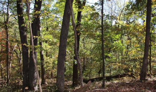 Photo #5 of RIVER VIEW PL, SHENANDOAH, VA 3.0 acres