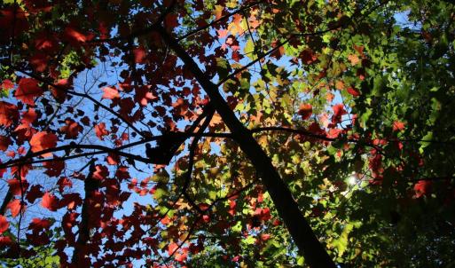 Photo #6 of RIVER VIEW PL, SHENANDOAH, VA 3.0 acres