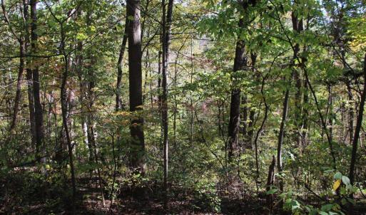 Photo #8 of RIVER VIEW PL, SHENANDOAH, VA 3.0 acres