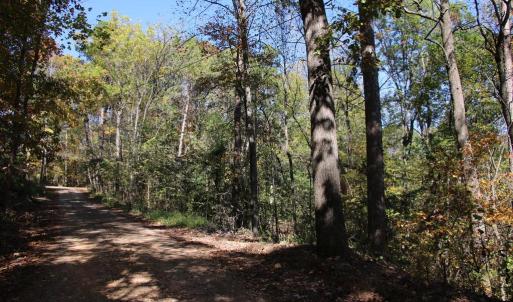 Photo #10 of RIVER VIEW PL, SHENANDOAH, VA 3.0 acres