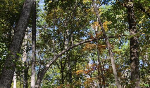 Photo #13 of RIVER VIEW PL, SHENANDOAH, VA 3.0 acres