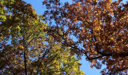 Photo #14 of RIVER VIEW PL, SHENANDOAH, VA 3.0 acres