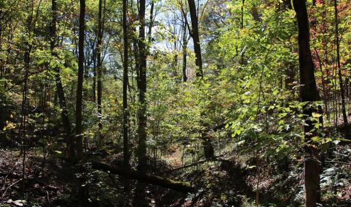 Photo #17 of RIVER VIEW PL, SHENANDOAH, VA 3.0 acres