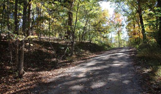 Photo #19 of RIVER VIEW PL, SHENANDOAH, VA 3.0 acres
