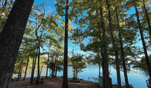 Photo #1 of 3819 BREAKNOCK RD, BUMPASS, VA 4.5 acres