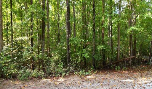 Photo #9 of PLEASANTS LN, MINERAL, VA 0.9 acres