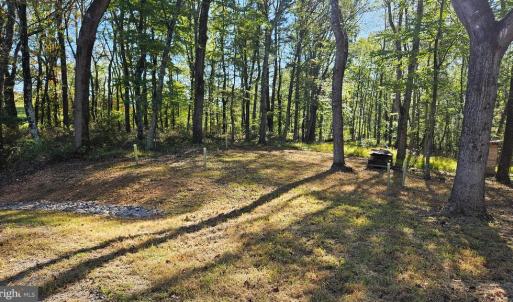 Photo #3 of SHARP ROCK ROAD, SPERRYVILLE, VA 11.5 acres