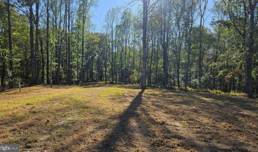 Photo #6 of SHARP ROCK ROAD, SPERRYVILLE, VA 11.5 acres