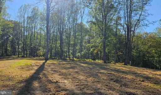 Photo #7 of SHARP ROCK ROAD, SPERRYVILLE, VA 11.5 acres