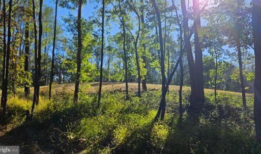Photo #14 of SHARP ROCK ROAD, SPERRYVILLE, VA 11.5 acres