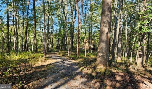 Photo #15 of SHARP ROCK ROAD, SPERRYVILLE, VA 11.5 acres