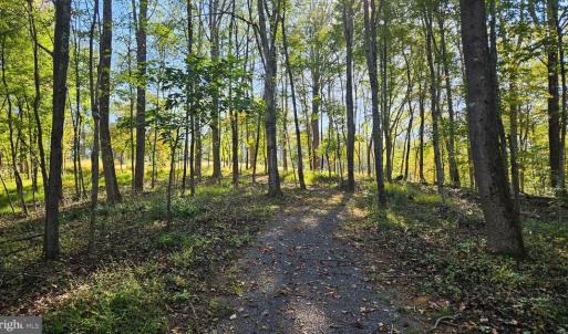 Photo #20 of SHARP ROCK ROAD, SPERRYVILLE, VA 11.5 acres