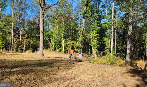 Photo #29 of SHARP ROCK ROAD, SPERRYVILLE, VA 11.5 acres