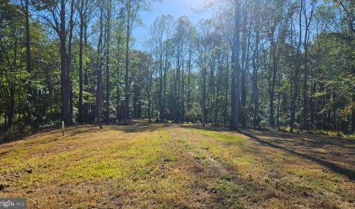 Photo #30 of SHARP ROCK ROAD, SPERRYVILLE, VA 11.5 acres