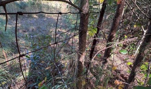 Photo #6 of 10325 LITCHFIELD DR, SPOTSYLVANIA, VA 0.9 acres