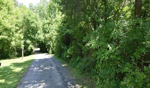 Photo #2 of 34 MCALEXANDER RD, ORANGE, VA 7.5 acres