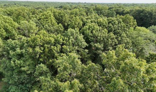 Photo #2 of 15 HANBACK RD, GORDONSVILLE, VA 2.5 acres