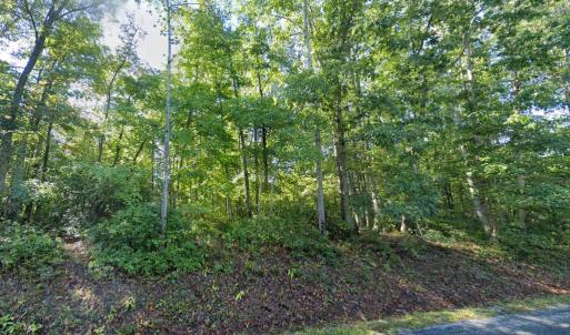 Photo #6 of LAUREL RD, SHIPMAN, VA 3.2 acres