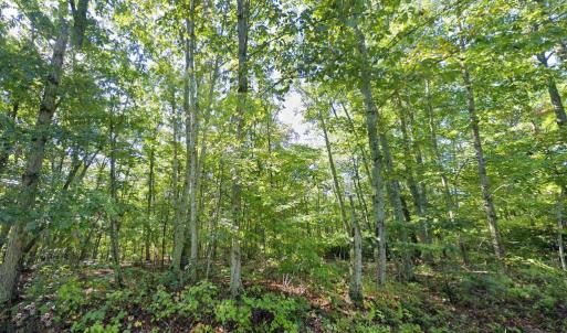 Photo #7 of LAUREL RD, SHIPMAN, VA 3.2 acres